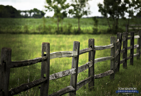 Awesome Family Portrait Backgrounds » Tom Simpson Photography