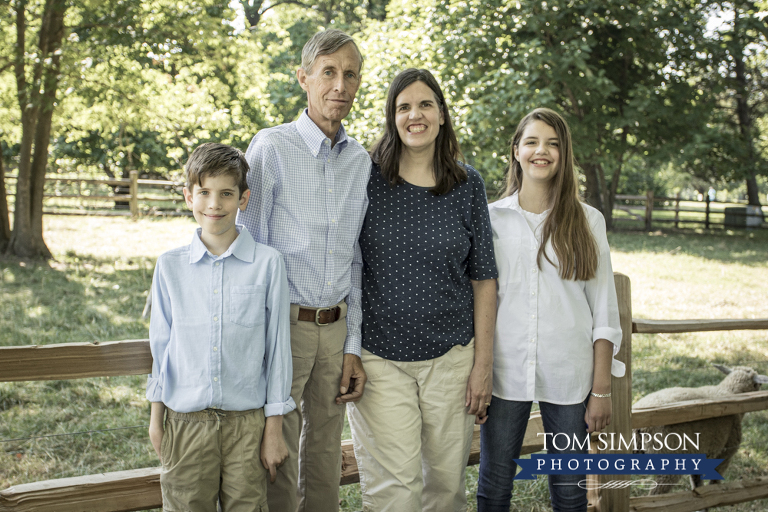 family green trees split rail fence