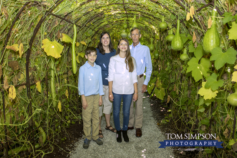 family garden tunnel